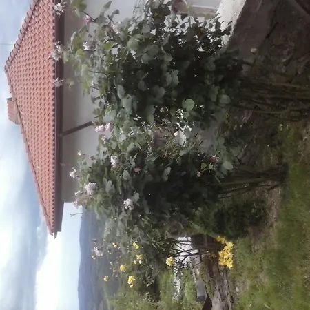 Bella Terra - 2 Villas Pensionat 2*